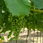 Agroturismo Incaffi