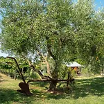 Incaffi Séjour à la ferme Affi