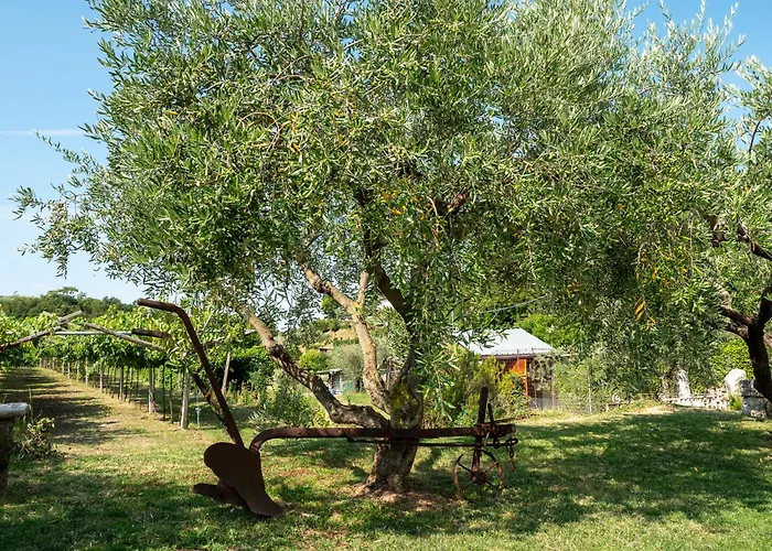 Incaffi Vakantieboerderij Affi
