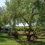Incaffi *