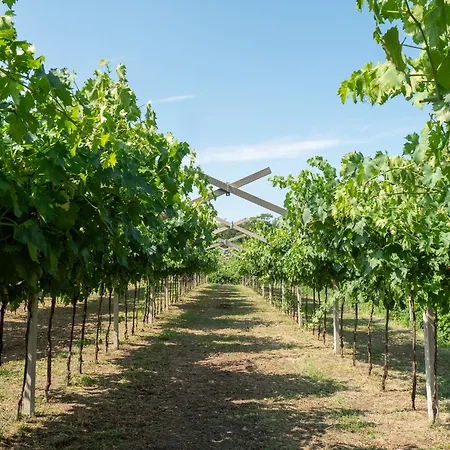 Incaffi Alojamento de Turismo Rural *