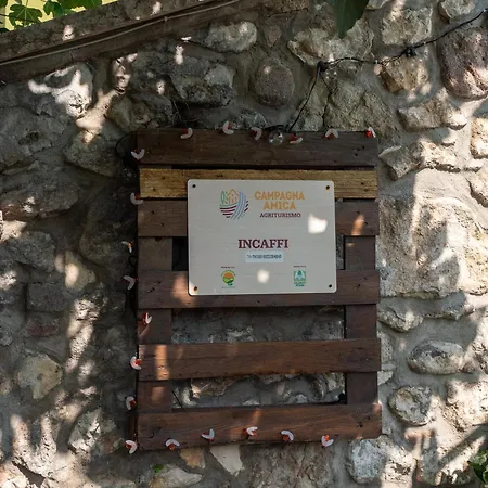 Alojamento de Turismo Rural Incaffi *